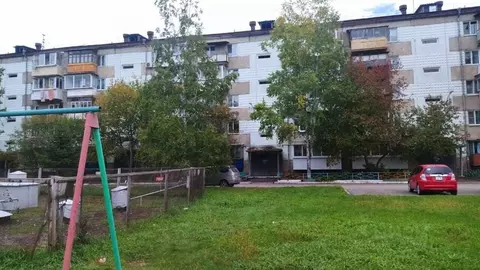 2-к кв. Еврейская автономная область, Биробиджан А мкр, ул. Широкая, ...