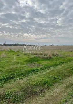 Участок в Крым, Феодосия муниципальный округ, с. Береговое ул. ...