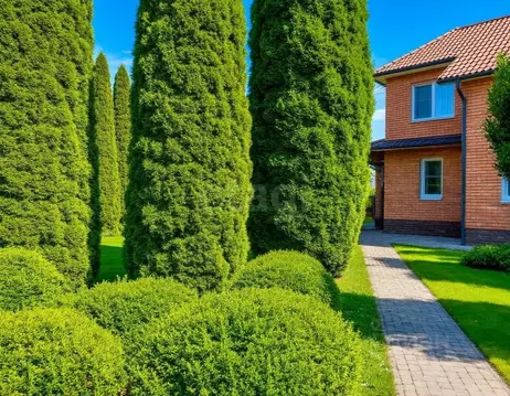 Дом в Москва д. Власово, ул. Февральская (150 м)