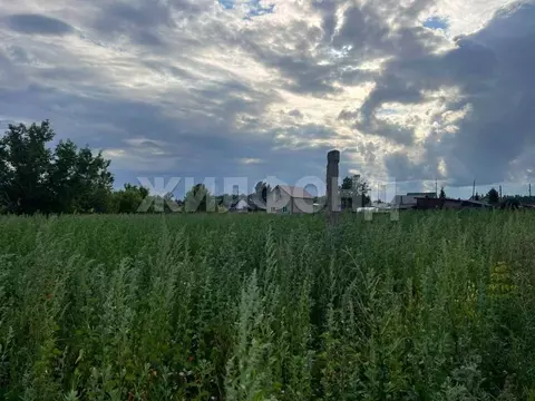 Участок в Новосибирская область, Ордынский район, с. Красный Яр ул. ...