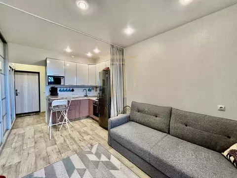 Студия Ленинградская область, Мурино Всеволожский район, аллея ...