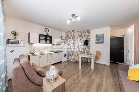 Студия Челябинская область, Челябинск ул. Петра Столыпина, 19 (24.6 м)