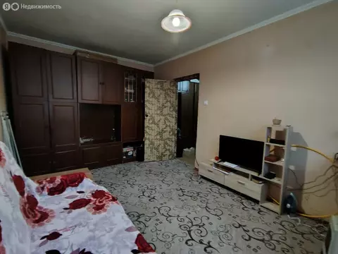 1-комнатная квартира: Санкт-Петербург, улица Димитрова, 10к1 (29 м)