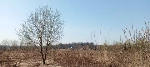 Участок в Калужская область, Совхоз Боровский с/пос, д. Уваровское  ...