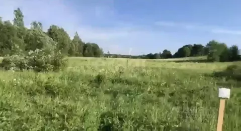 Участок в Ленинградская область, Всеволожский район, Куйвозовское ...