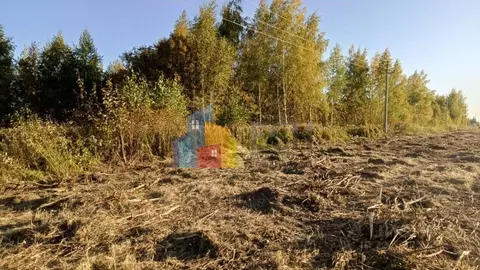 Участок в Тульская область, Тула ул. Богородицкая (5.24 сот.)