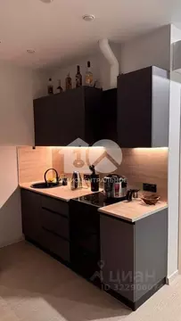 Студия Новосибирская область, Новосибирск ул. Ясный Берег, 29 (30.0 м)