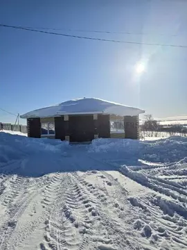 Дом в Татарстан, с. Пестрецы ул. Ягодная, 23 (110 м)