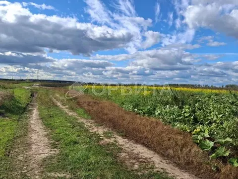 Участок в Тюменская область, Тюменский муниципальный округ, с. Ембаево ...