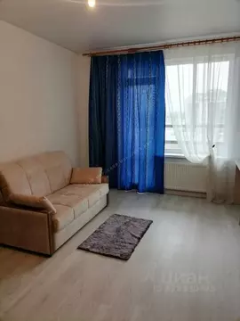 Студия Санкт-Петербург ул. Струве, 10к1 (24.9 м)