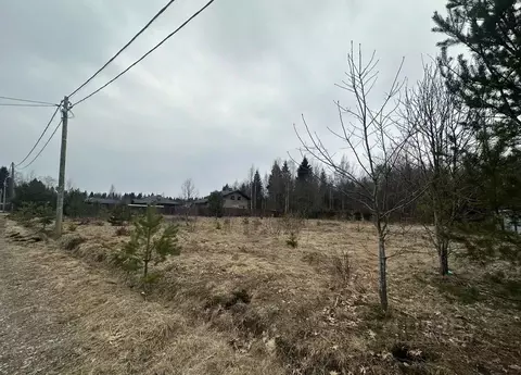 Участок в Ленинградская область, Всеволожский район, Куйвозовское ...