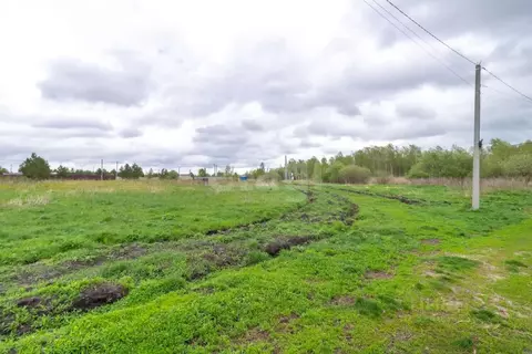 Участок в Тюменская область, Нижнетавдинский муниципальный округ, ...