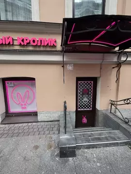 Помещение свободного назначения в Санкт-Петербург ул. Белинского, 8 ...