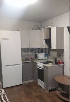 Студия Воронежская область, Воронеж Ростовская ул., 100БкБ (20.1 м)