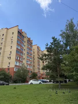 3-к кв. Московская область, Раменское Дергаевская ул., 10 (85.0 м)