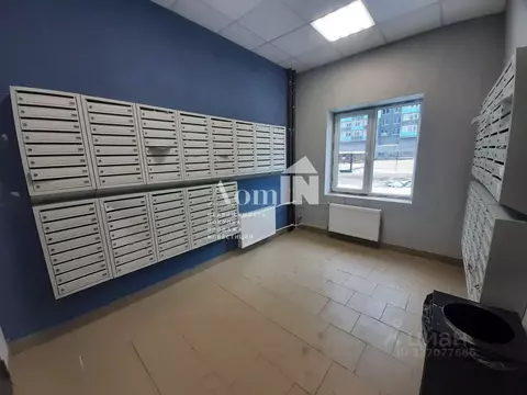 Студия Ленинградская область, Мурино Всеволожский район, ул. Графская, ...