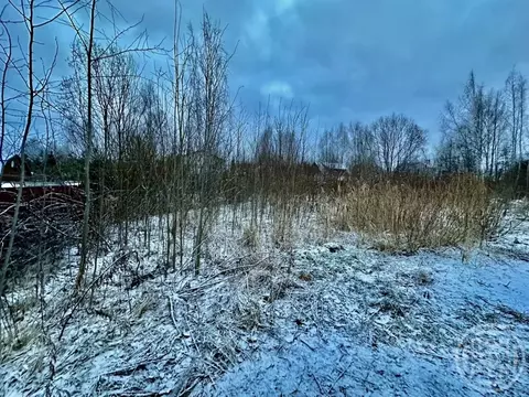 Участок в Ленинградская область, Всеволожск Всеволожский просп. (9.9 ...