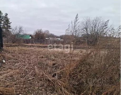 Участок в Томская область, Шегарский район, с. Бабарыкино Набережная ...
