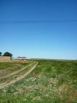 Участок в Крым, Сакский район, Молочненское с/пос, с. Витино ул. ...