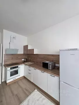 Студия Санкт-Петербург наб. Миклухо-Маклая, 3к1 (22.8 м)