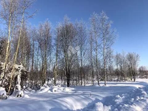 Участок в Ленинградская область, Лужский район, Мшинское с/пос, ...
