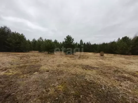 Участок в Вологодская область, Череповецкий район, Уломское с/пос, д. ...