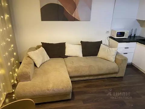 Студия Санкт-Петербург Фарфоровская ул., 7к1 (24.0 м)