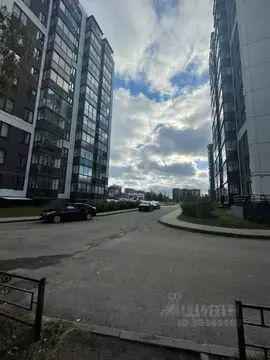 Студия Ленинградская область, Ломоносовский район, Аннинское городское ...