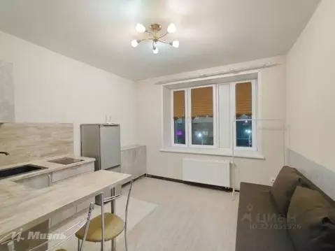 Студия Московская область, Балашиха ул. Безымянная, 4 (19.3 м)