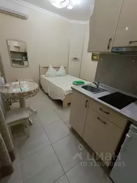 Студия Ставропольский край, Ессентуки ул. Нелюбина, 9А (25.0 м)