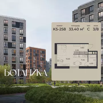 Студия Липецкая область, Липецк Авторский жилрайон, Ботаника жилой ...