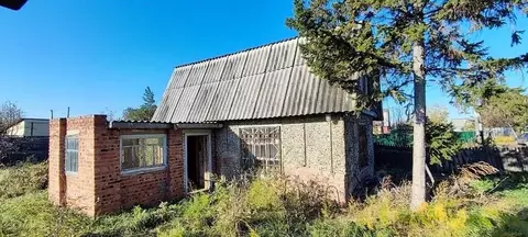 Дом в Омская область, Омск СОСН Ранет тер., аллея 9-я (56 м)