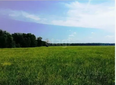 Участок в Башкортостан, Уфимский район, с. Миловка  (8.95 сот.)