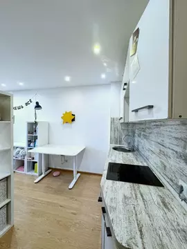 Студия Санкт-Петербург просп. Энергетиков, 11к5 (25.2 м)