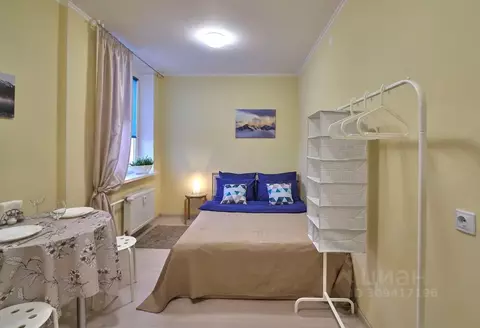 Студия Пермский край, Пермь ул. Советской Армии, 60 (25.0 м)