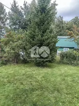 Дом в Новосибирская область, Новосибирск Конструктор СНТ, 278 (32 м)