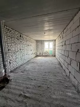 Студия Саратовская область, Саратов ул. Имени Николая Чихарева, 10 ...