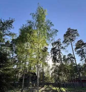 Участок в Московская область, Раменский муниципальный округ, Быково ...