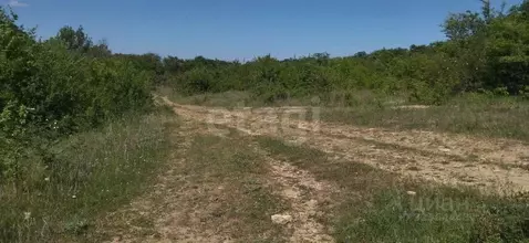 Участок в Крым, Кировский район, Синицынское с/пос, с. Васильковое ул. ...