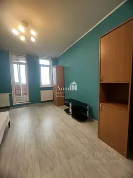 Студия Санкт-Петербург просп. Просвещения, 43 (27.0 м)