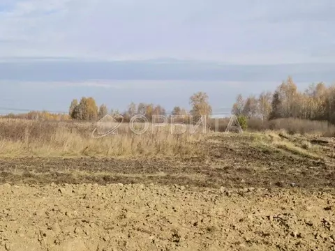 Участок в Тюменская область, Тюменский район, с. Борки  (17.0 сот.)