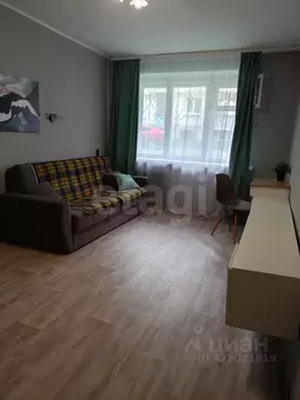 2-к кв. Челябинская область, Миасс Уральская ул., 116 (45.5 м)