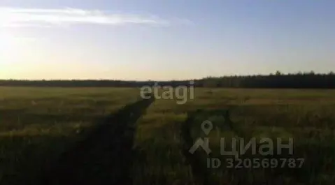 Участок в Саха (Якутия), Якутск городской округ, с. Хатассы  (130.8 ...