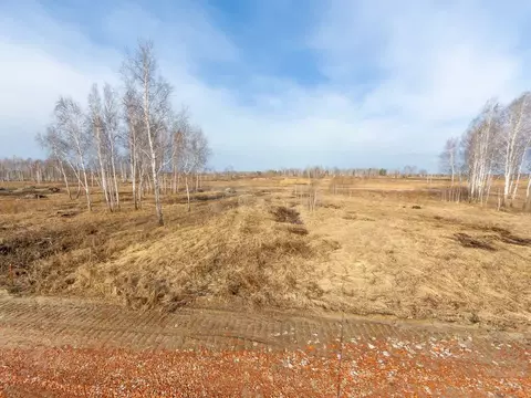 Участок в Тюменская область, Нижнетавдинский район, Тюневское с/пос, 7 ...