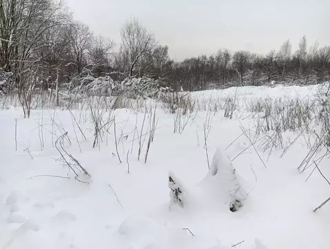Участок в Московская область, Клин городской округ, д. Парфенькино  ...
