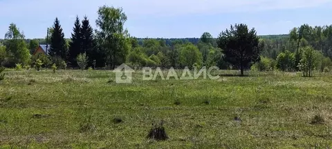 Участок в Владимирская область, Петушинский район, Пекшинское ...