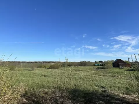 Участок в Вологодская область, д. Калинкино (Майское сельское ...