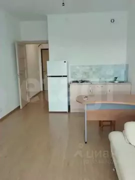 Студия Санкт-Петербург Комендантский просп., 64к1 (24.2 м)