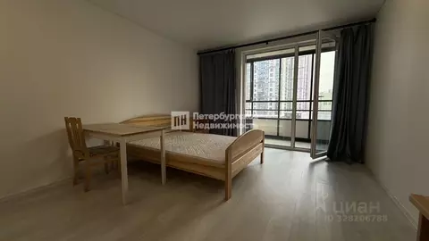 Студия Санкт-Петербург пос. Шушары, просп. Новгородский, 2к3 (25.3 м)