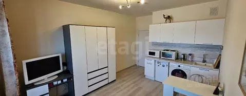 Студия Санкт-Петербург ул. Русановская, 20к3 (22.0 м)
